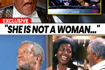 Sanford And Son (1972) Cast Reveals What Most Fans Never Figured Out