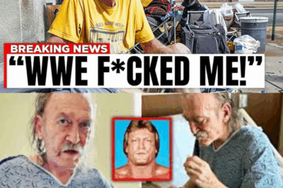 The Tragic Fate of Paul Orndorff