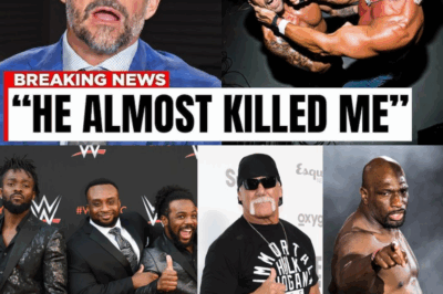 WWE Wrestlers Reveal Why They Hated Hulk Hogan