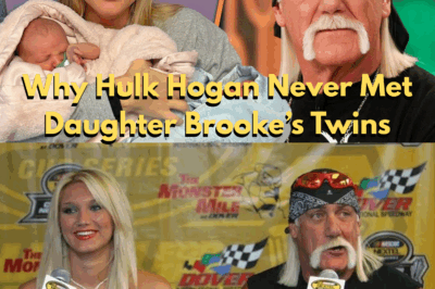 Why Hulk Hogan Never Met Daughter Brooke’s Twins