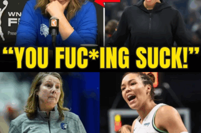 WNBA IN SHOCK As Indiana Fever New Recruit Aerial Power GETS ON A VIRAL BEEF With Cheryl Reeves!