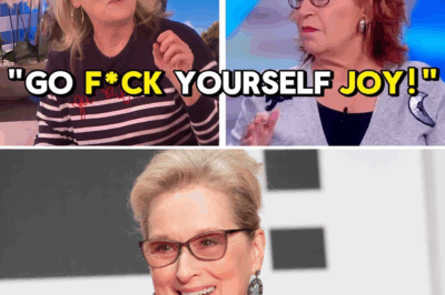 Meryl Streep’s Silent Stand: When a Walk-Off Became a Masterclass in Integrity
