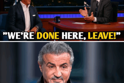 Sylvester Stallone Walks Off Colbert: The Late Night Clash That Revealed a Legend’s Hidden Pain