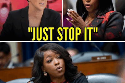 Jasmine Crockett Destroys Rachel Maddow in Viral Interview That Changed the Game”