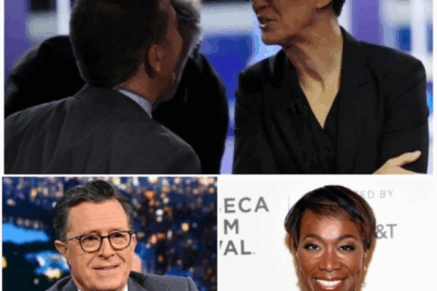 BIG BANG: Rachel Maddow quietly launches a newsroom that MSNBC never dreamed of – A bold vision, Breaking the layers of censorship for a corrupt and manipulative press