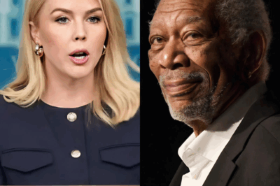 Karoline Leavitt mercilessly lectured Morgan Freeman on the topic of R@CIST and INEQUALITIES on live TV!