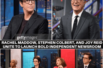 Breaking News: Rachel Maddow, Stephen Colbert, and Joy Reid Unite to Launch Bold Independent Newsroom