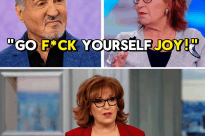 Sylvester Stallone Storms Off The View After Heated Clash With Joy Behar