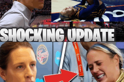 Brittney Griner’s WNBA Future in Jeopardy After Ryan Ruocco’s Explosive Claim!