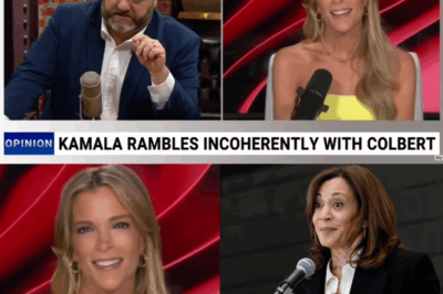 ‘Actual Moron’: Megyn Kelly Hilariously Ridicules Kamala Harris’s ‘Weird Cackle’ and ‘Verbal Tics’