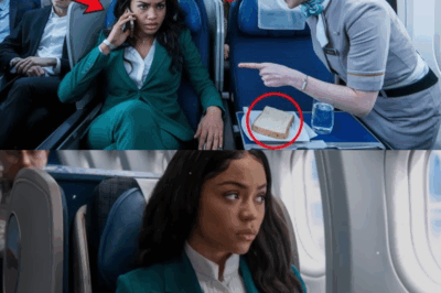 Black Woman Denied First-Class Meal — Her One Call Shut Down the Catering Company