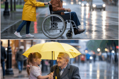 Little Girl Helps an Elderly Man in a Wheelchair Stuck in the Rain, What Happens Next Is a Miracle