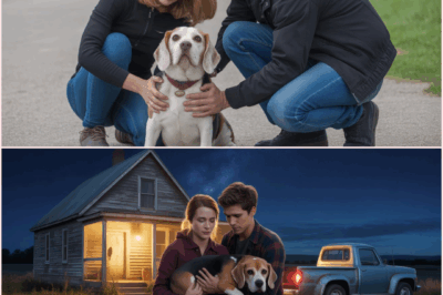 Couple Drives Hours to Save Elderly Beagle Given Away for Free with Urgent Deadline