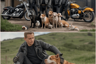Biker Gang Rescues Animals From Violent Owners And Breaks Apart Dog Fight Rings