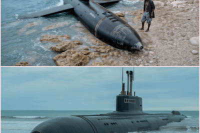 Fisherman Found a Strange Submarine on the Beach, But When They Opened It — Everyone Froze in Horror