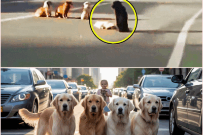 4 Dogs Suddenly Block Traffic. Seconds Later, Everyone Sees What They’re Protecting and Gasps