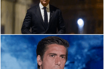 The Power of Vulnerability: David Muir’s Breakthrough Moment