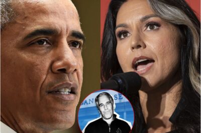 Tulsi Gabbard Exposes: Obama’s $350M Epstein Donation—Truth Finally Revealed!