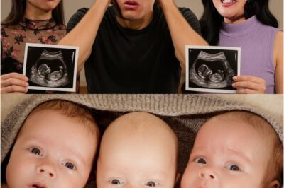 September Shock: Will’s World Shattered by Unexpected Twin Pregnancy!