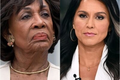Maxine Waters TRIES to HUMILIATE Tulsi Gabbard — What Happens Next Leaves Waters SPEECHLESS!