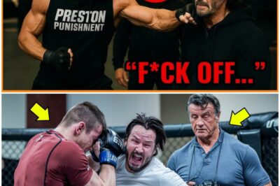 An MMA Fighter Punched Keanu Reeves at the Gym — Then Stallone Spoke!