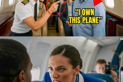 CEO Refused First Class Seat, Grounds Flight and Dismisses Pilot Minutes Later