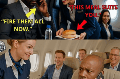 CEO Outraged After Missing First-Class Meal—Fires Entire Flight Crew in Shocking Airport Meltdown Minutes Later!