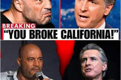 Joe Rogan DESTROYS Gavin Newsom Over California Disaster On Live TV