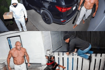 Burglars Target the Wrong Home and Instantly Regret Their Decision