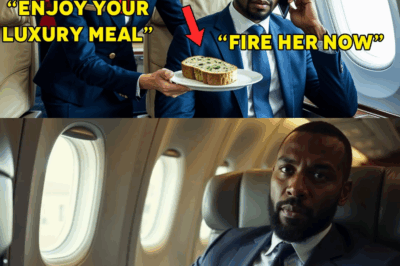 Discriminated in First Class: Black CEO Exposes Racist Flight Attendant After Being Served Moldy Food
