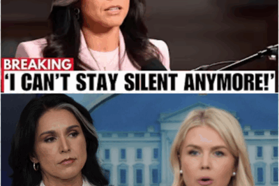 Tulsi Gabbard FINALLY EXPOSES Hillary Clinton’s Ugly Truth On Live TV