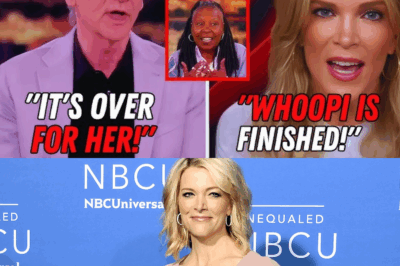 The Clash of Perspectives: Whoopi Goldberg, Bill Maher, and the Evolution of Debate on Television