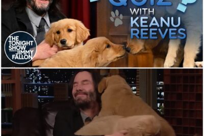 Keanu Reeves Answers Fan Questions While Puppies Steal the Show