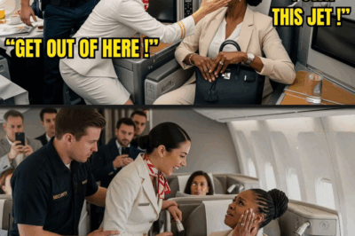 Flight Attendant Slapped a Black CEO on Her Own Jet – 10 Minutes Later, She Fires His Entire Team