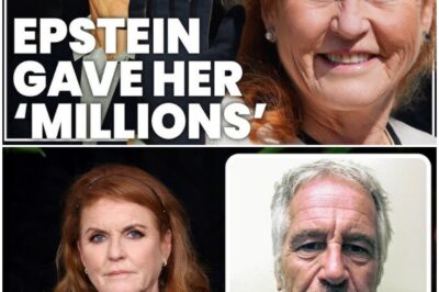 Sarah Ferguson Dropped by Multiple Charities After Controversial Epstein Email Surfaces