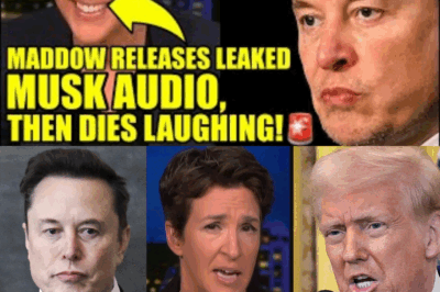 🚨Maddow CRACKS UP After Revealing SECRET MUSK RECORDING