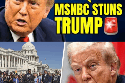 Reporter Drops NEW EPSTEIN BOMB On Trump Live On MSNBC🚨