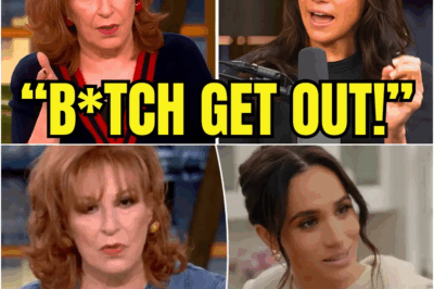 Meghan Markle Walks Out of The View After Explosive Argument With Joy Behar
