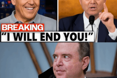 Adam Schiff’s Fall: Comedy, Censure, and the Politics of Public Humiliation