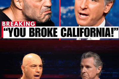 Joe Rogan DESTROYS Gavin Newsom Over California Disaster On Live TV