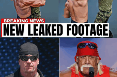 New Video Of Undertaker Trying To Kill Hulk Hogan In Public Changes Everything