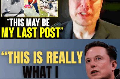 Elon Musk: “I Can’t Stay Silent Any Longer!” (Charlie Kirk)