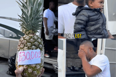 Rich Stranger Gifts a “Lucky” Pineapple to a Homeless Dad — His Reaction Was Beautiful