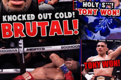 MMA Community REACTS to Darren Till KNOCKING OUT Luke Rockhold! Tony Ferguson FINISHES Salt Papi!