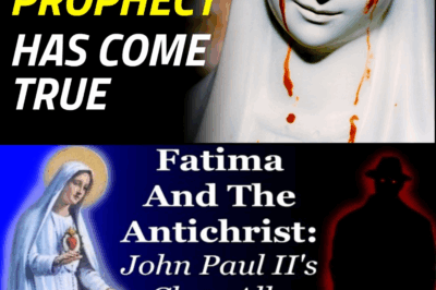 The Last Warning of the Madonna: The Tears of Blood, the Secret of Fatima, and John Paul I