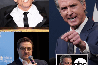 Jimmy Kimmel Shocker: Ben Stiller, Chris Hayes, Gov. Newsom and More Criticize ABC for Pulling Late Night Show Over Charlie Kirk Comments