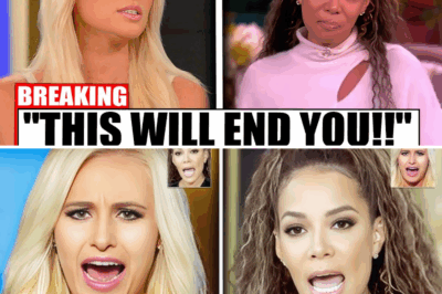 Tomi Lahren DESTROYS Sunny Hostin Over Ancestry Remarks LIVE!