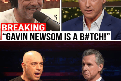 California’s Woke Disaster: Joe Rogan and Joey Diaz Expose Gavin Newsom’s Failed Leadership