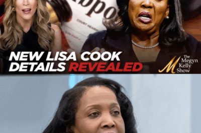 BREAKING: Grand Juries Now Involved in Lisa Cook Mortgage Fraud Investigations, with Glenn Greenwald