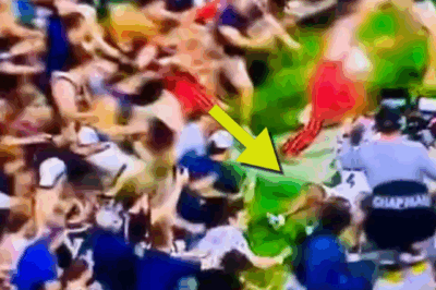 New On-Field Footage Reveals Shocking Truth About FSU Wide Receiver Squirrel White’s Terrifying Trampling During Chaotic Field Storm [VIDEO]